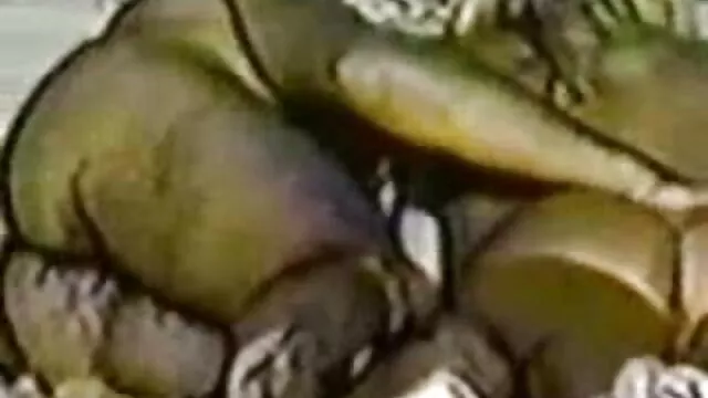 Mega lixo na porno brasileiro violento bagageira!