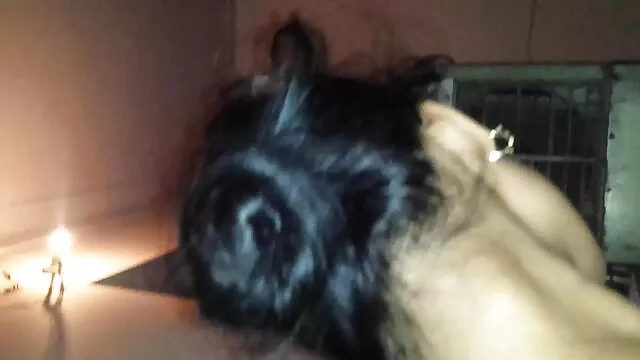 Estes tipos estavam a brincar com a rata comendo a sogra gostosa brasileira dela.