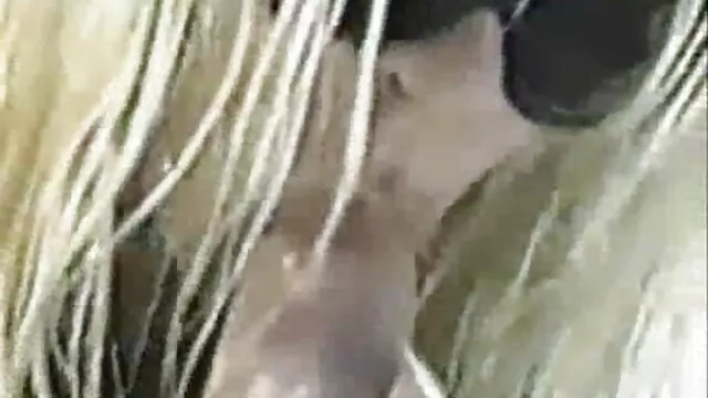 EvilAngel, Milf com Garganta Funda em vídeo POV novinha gostosa brasileira